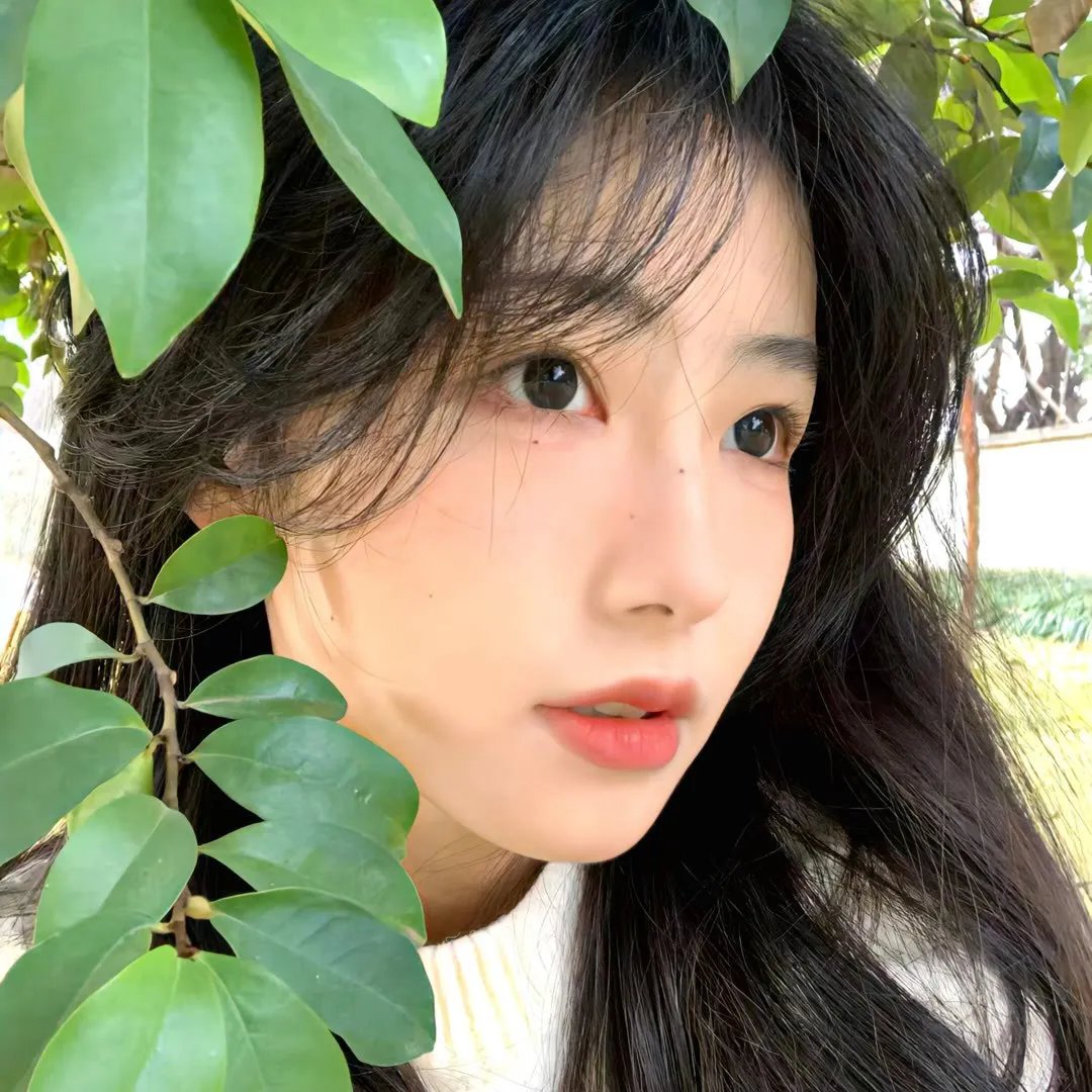 糖小姐探案集